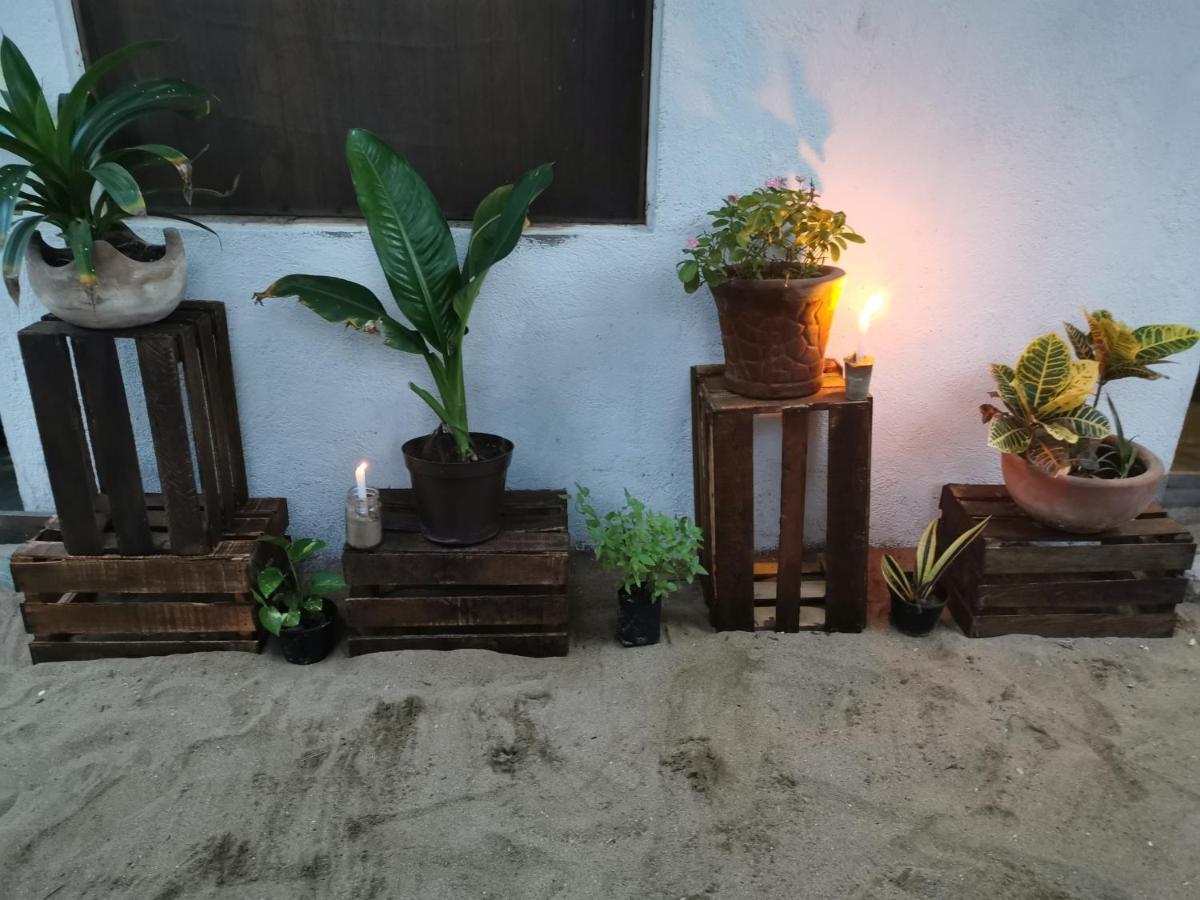 Hotel La Maxima & Lgbt à Zipolite Extérieur photo