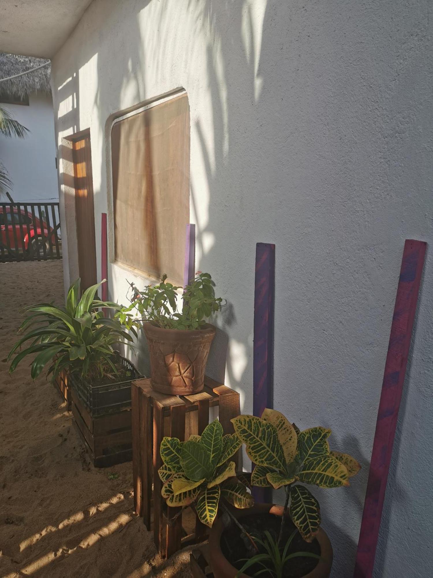 Hotel La Maxima & Lgbt à Zipolite Chambre photo