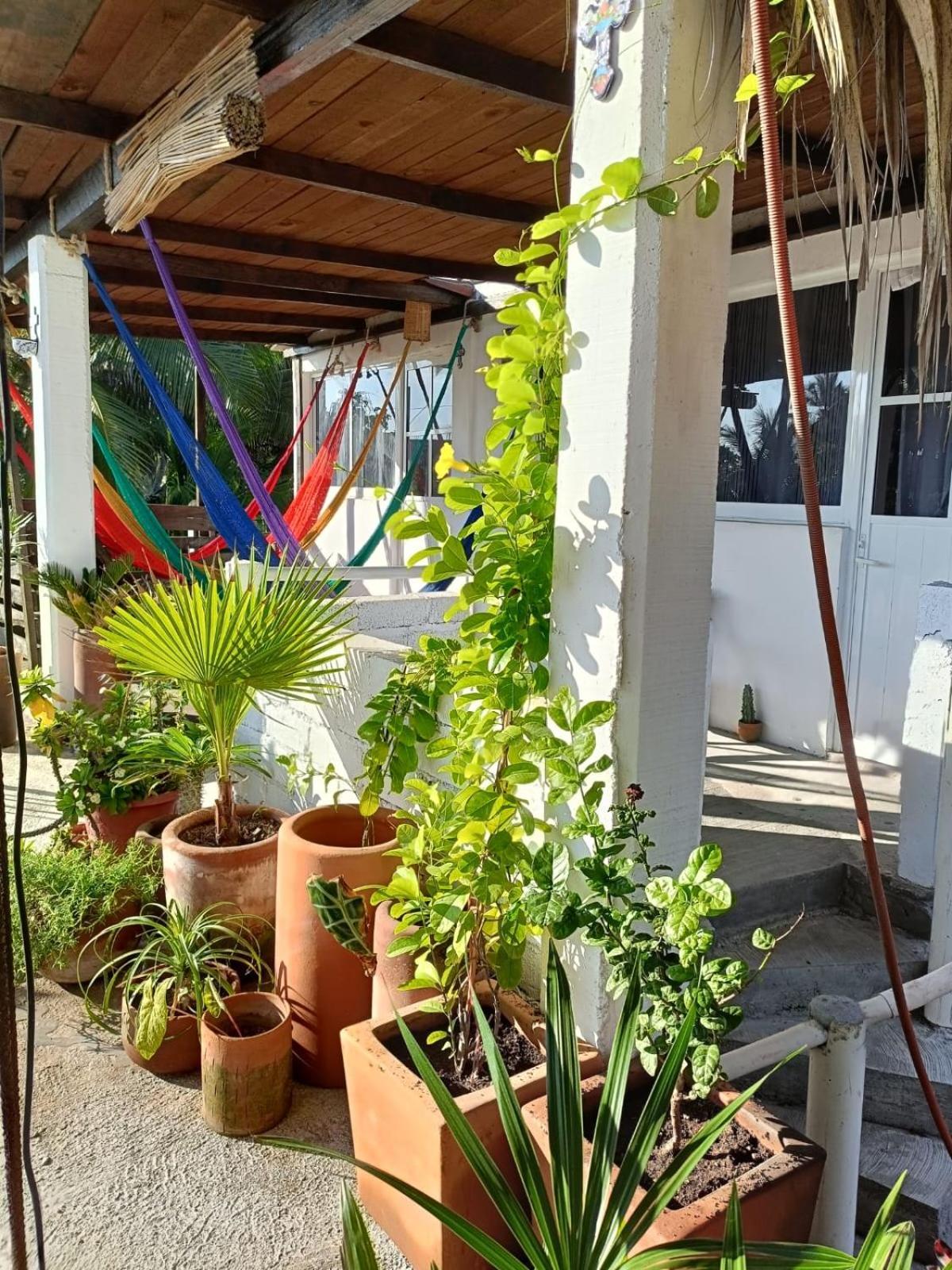 Hotel La Maxima & Lgbt à Zipolite Extérieur photo