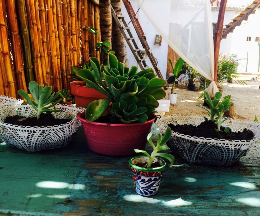 Hotel La Maxima & Lgbt à Zipolite Extérieur photo
